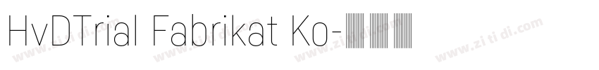 HvDTrial Fabrikat Ko字体转换